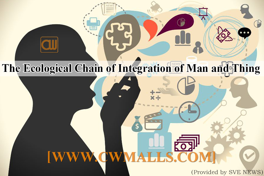7.24 “CWMALLS The Ecological Chain of Integration of Man and Thing”